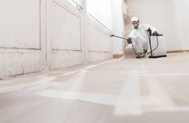 24/7 Emergency Attic Mold Removal experts in Fort Bragg, NC